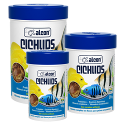 ALCON CICHLIDS