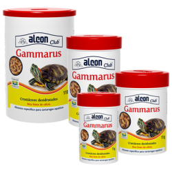 ALCON GAMMARUS