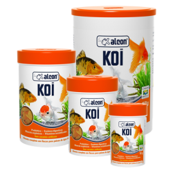ALCON KOI